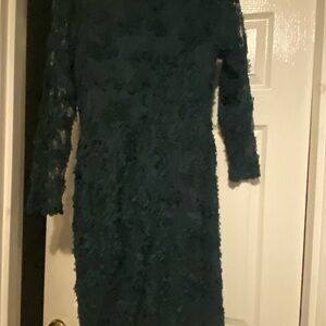 Xscape Dark Green Lace Long Sleeve Dress